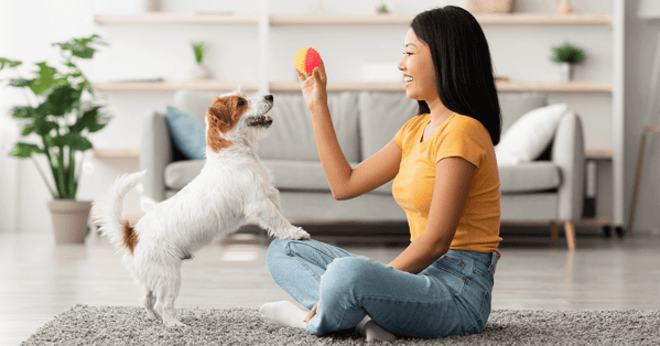 Dog with female owner playing trick with ball