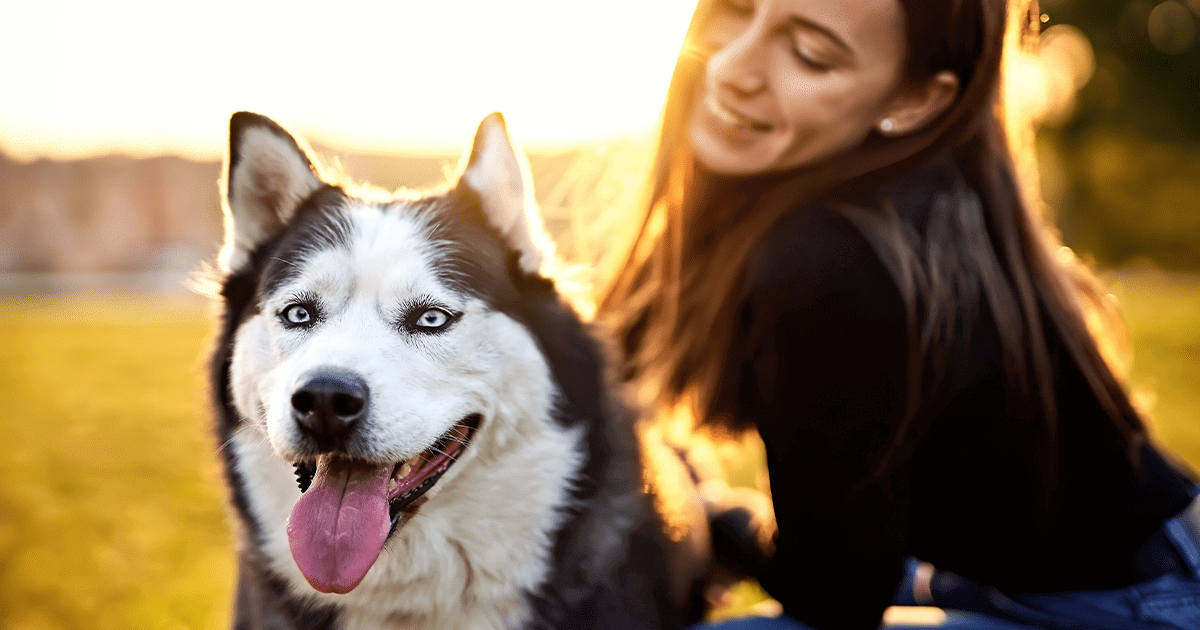 Husky sitting in grass outside being pet by happy young woman