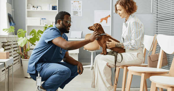Dog sitting on owner’s lap while vet crouches to examine closer