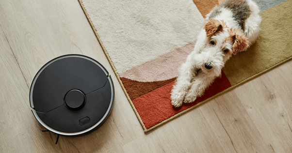 Dog laying on carpet beside robot vacuum