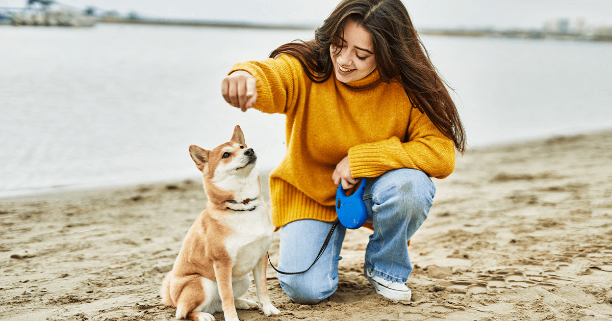 Young woman training Shiba Inu dog at a beach
