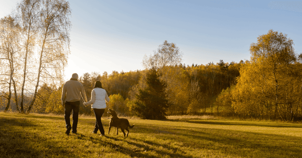 A couple walking through a field with their dog in autumn.