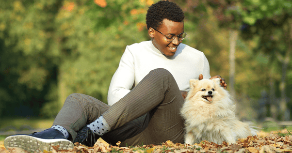 Small Pomeranian dog being stroked by their owner.