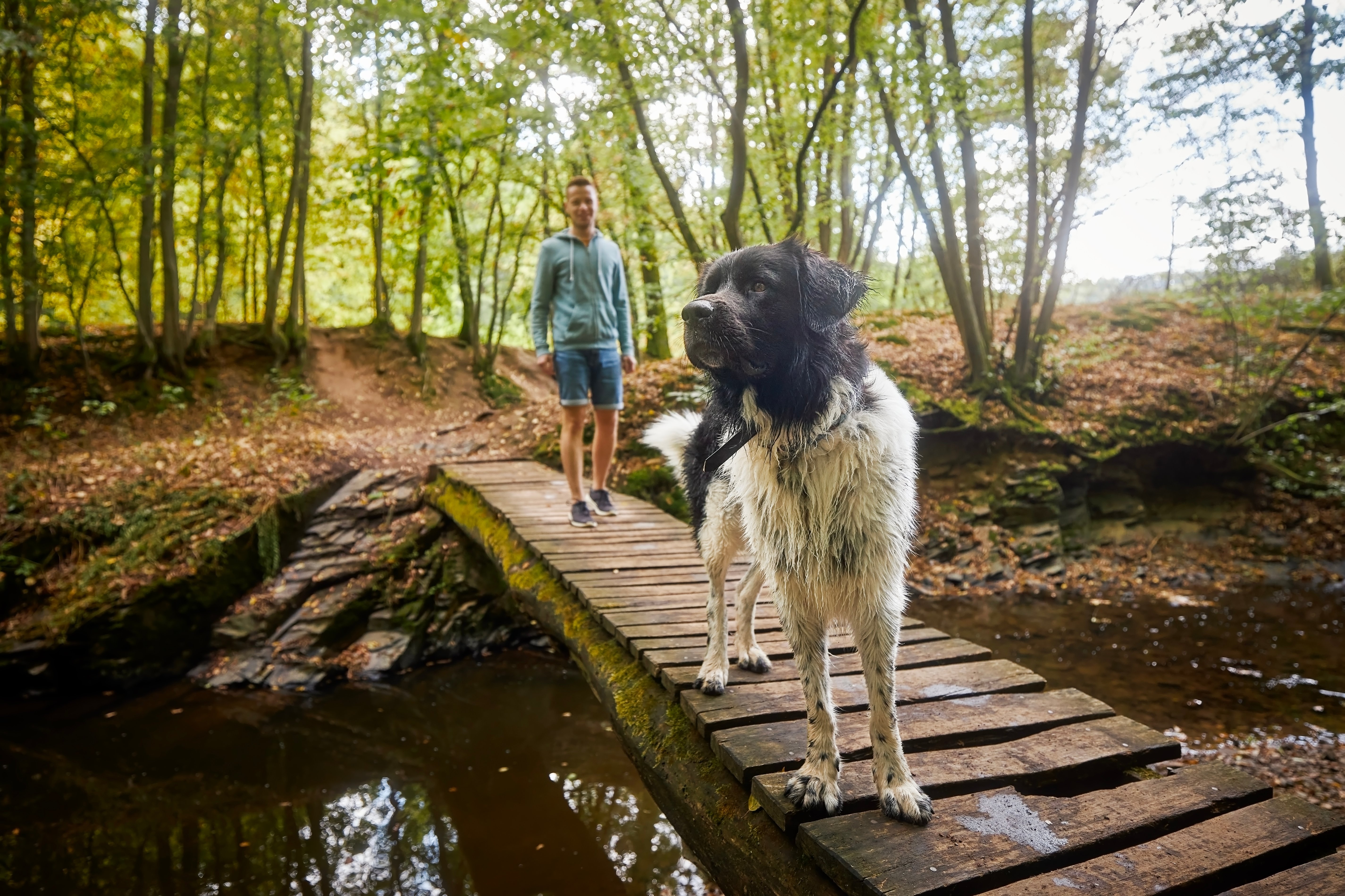 shutterstock_2338867053