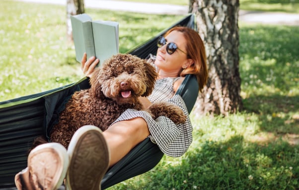 Fluffy brown dog sitting on a woman reading a book in a hammock.