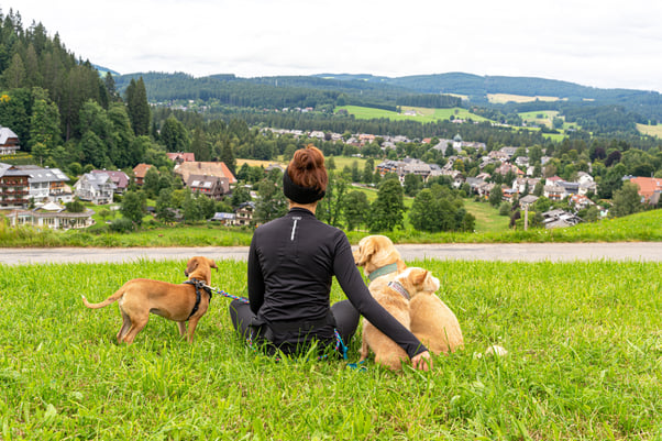 Woman sitting with three dogs outdoors.