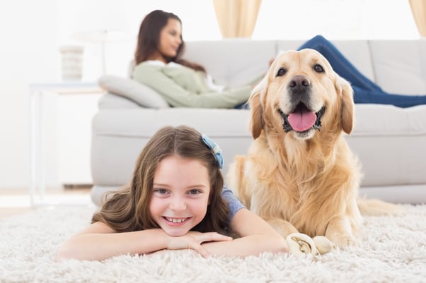 Young girl lying on the carpet with her golden retriever in the living room.