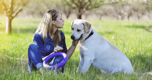 Young woman sitting beside golden lab dog petting its cheek in field with frisby