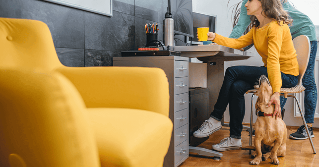 Modern office with two workers speaking to each other and a dog sitting beside them