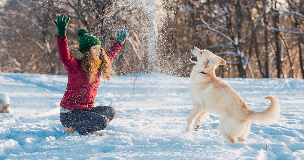 Young woman throwing snow into the air while golden retriever jumps to catch it