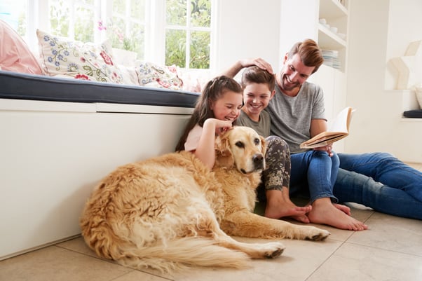 Young family reading a book with their Golden Retriever.