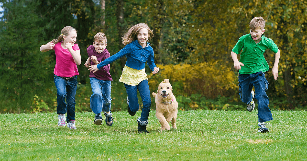 Group of 4 kids running in park with a golden retriever dog