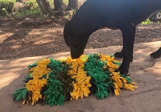 Dog using a snuffle mat