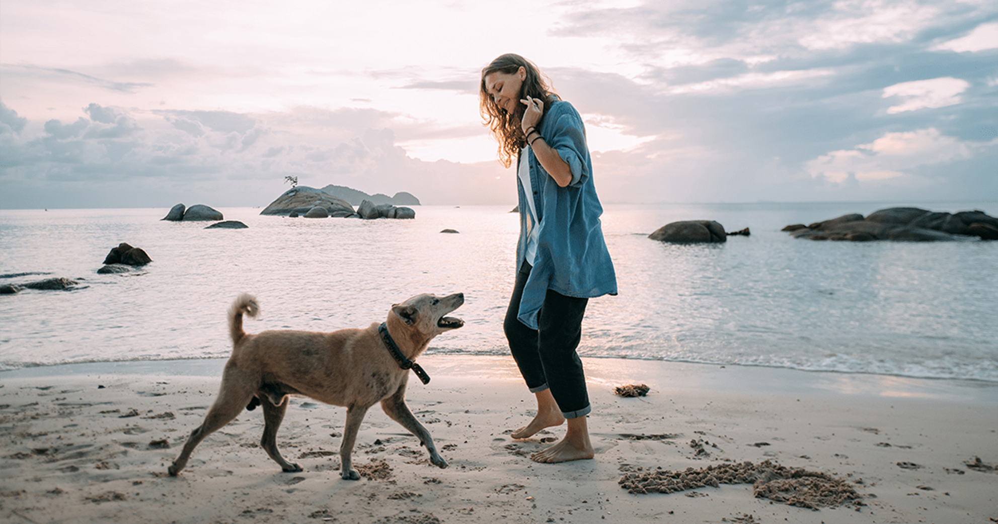 tutor se comunicando com cão na praia