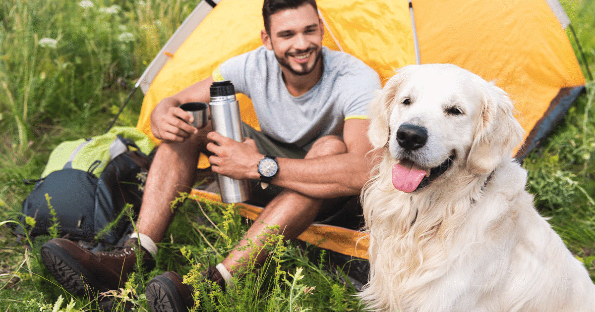 un cane felice seduto vicino alla tenda del suo padrone in un campeggio