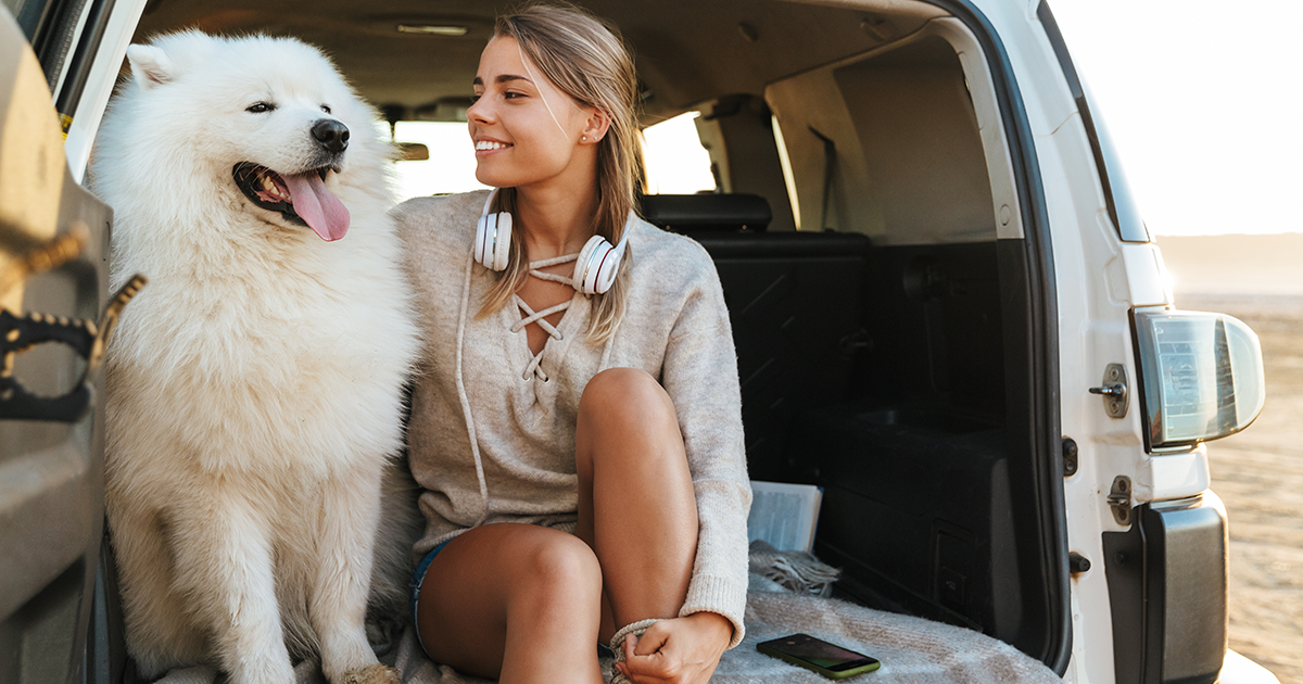 un grosso cane bianco e una donna seduta sul retro di unauto su una coperta con la portiera aperta.