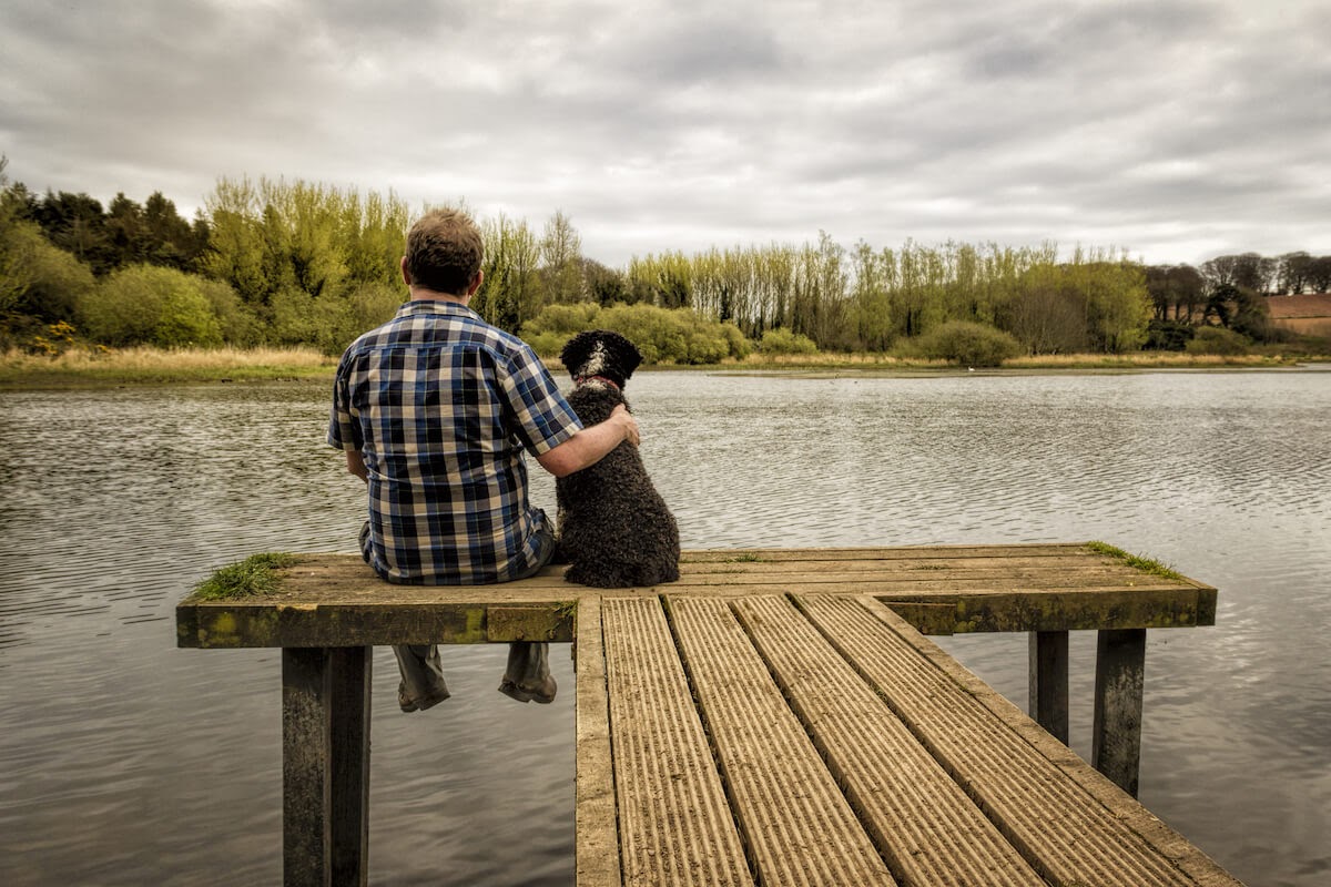 how did man and dog become best friends