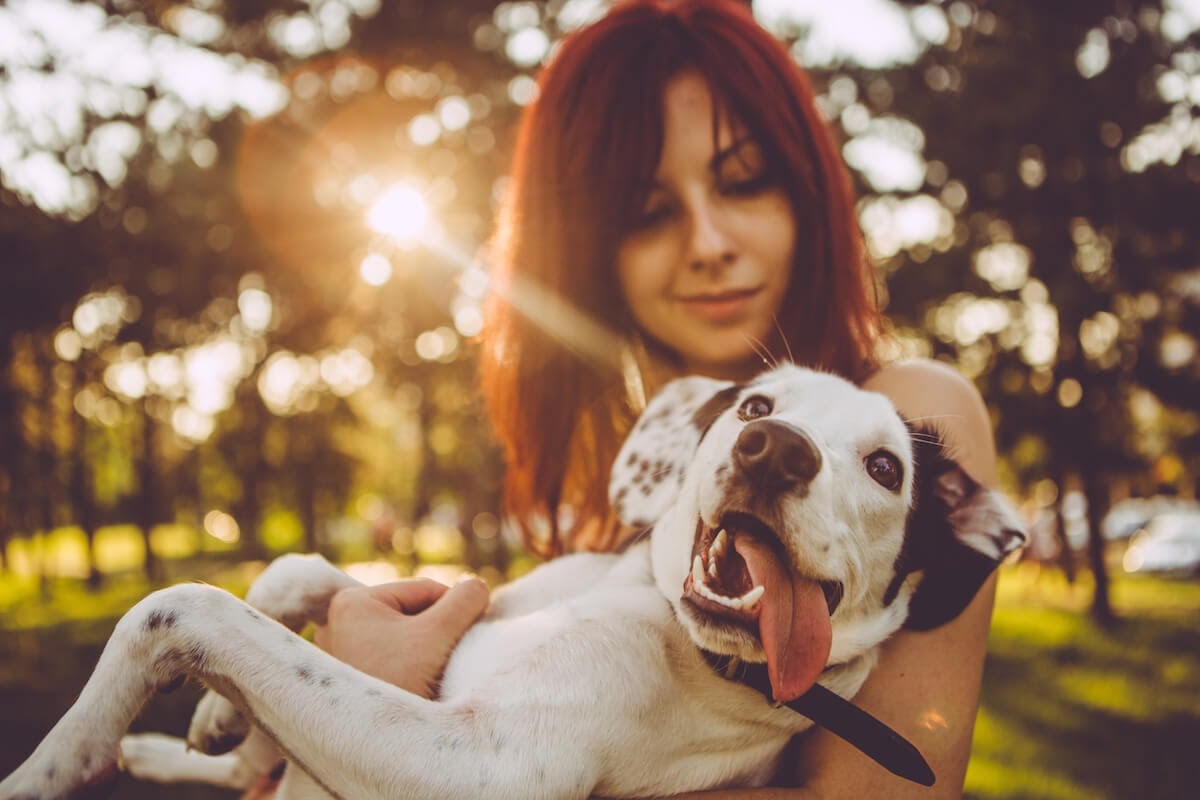 Best of Friends! 9 Tips to Build a Better Bond with Your Dog