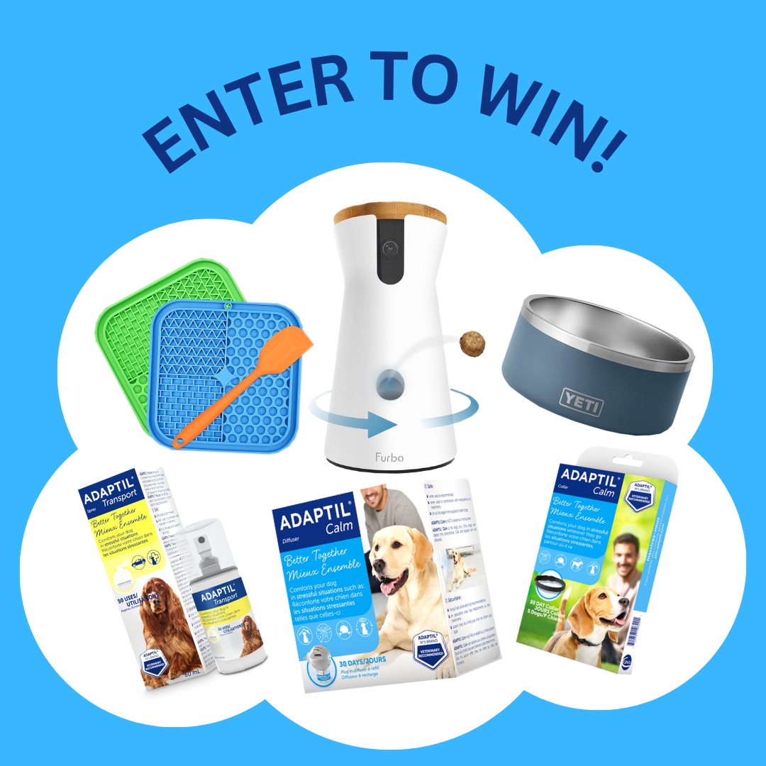 Adaptil Game Giveaway ADAPTIL