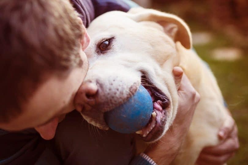 cão com bola na boca a ser abraçado pelo tutor