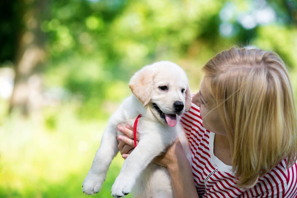 Benefits of Puppy Classes july editorial 04