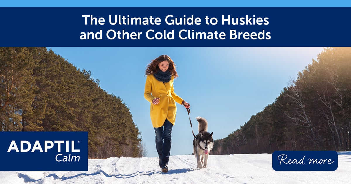 Husky Adaptation The Ultimate Guide to Huskies and Other Cold Climate Breeds