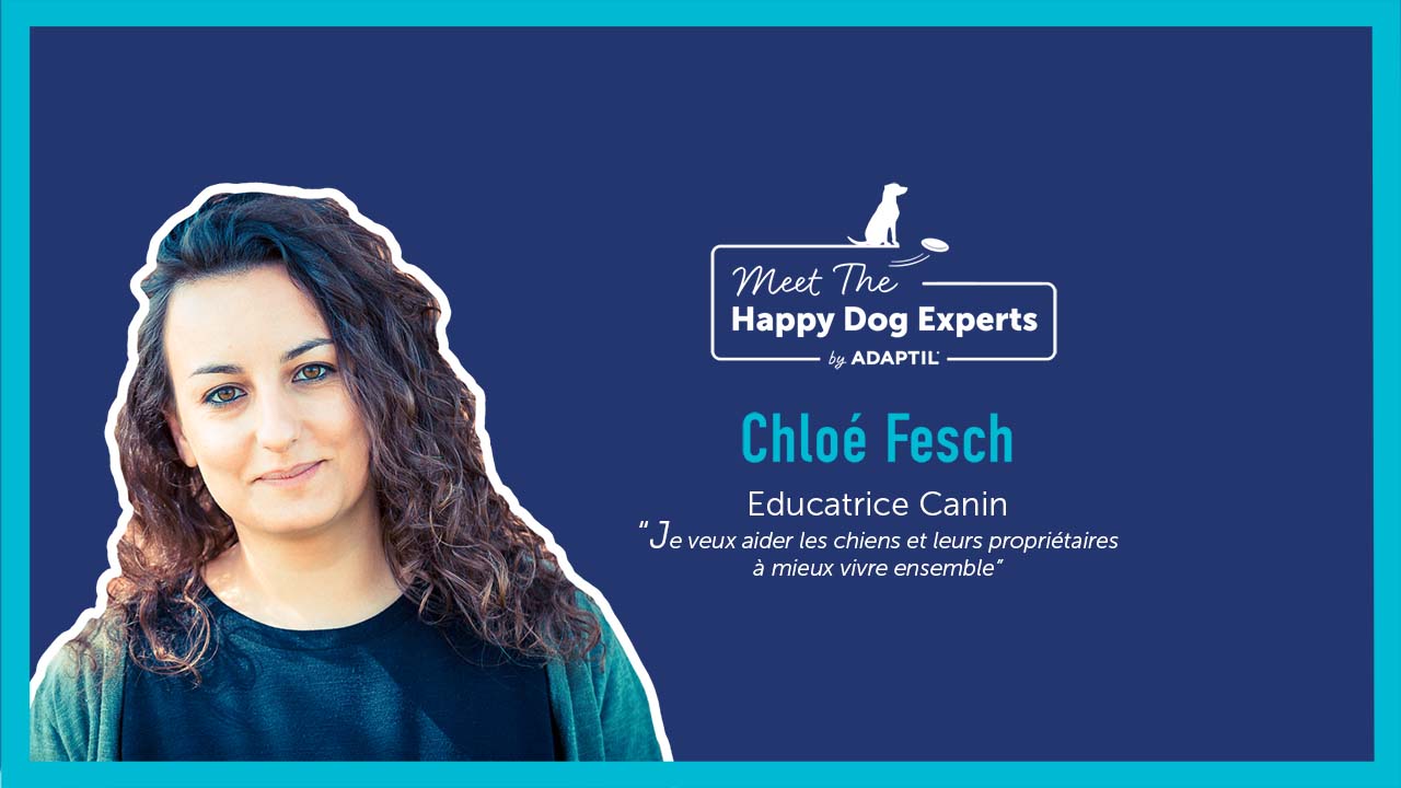 Chloé Fesch répond aux questions que l'on se pose avant d'adopter un chien