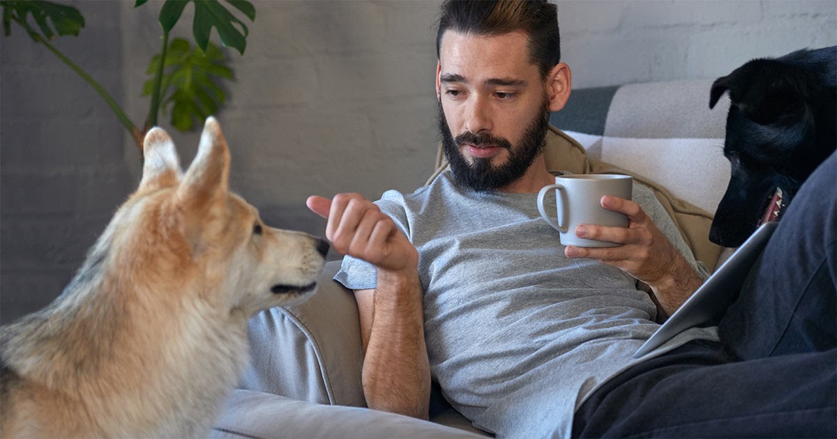 your dog can listen to you