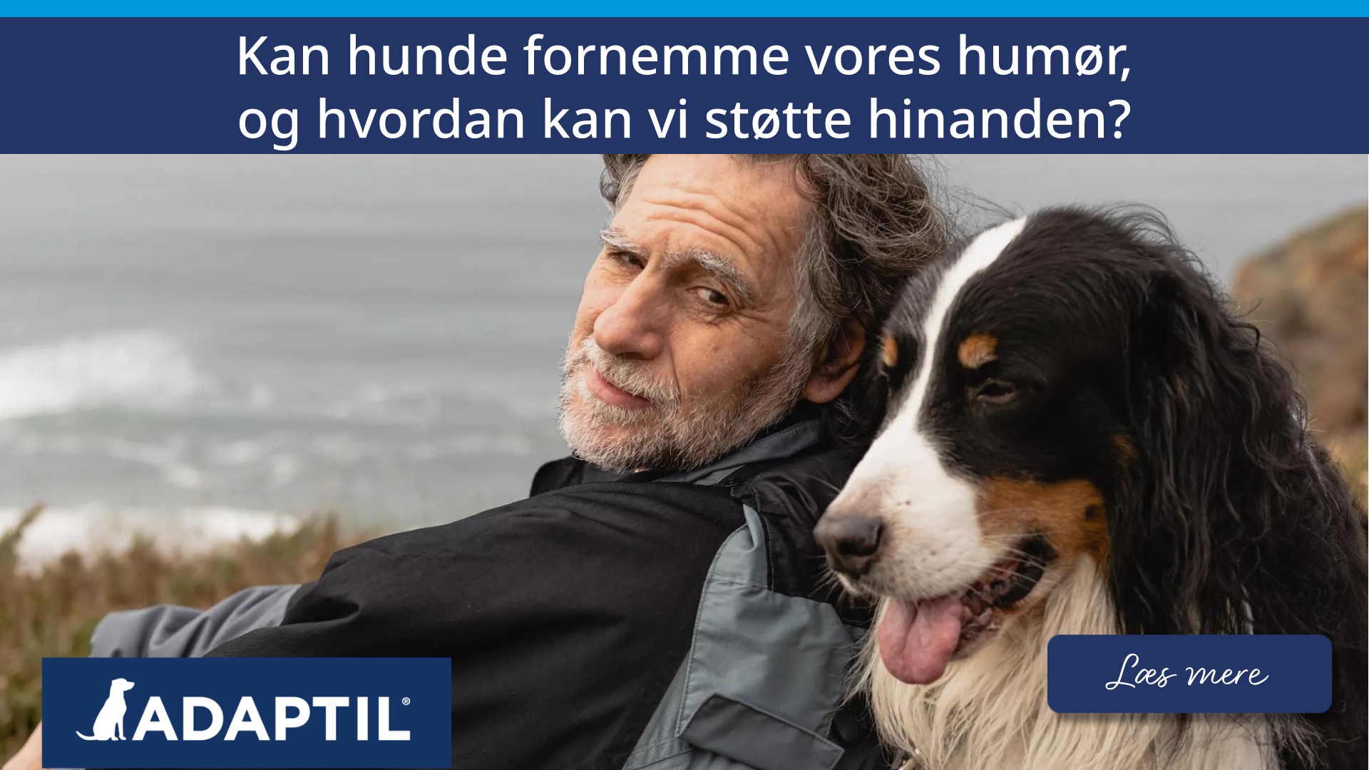 Kan hunde fornemme vores humør, og hvordan kan vi støtte hinanden?