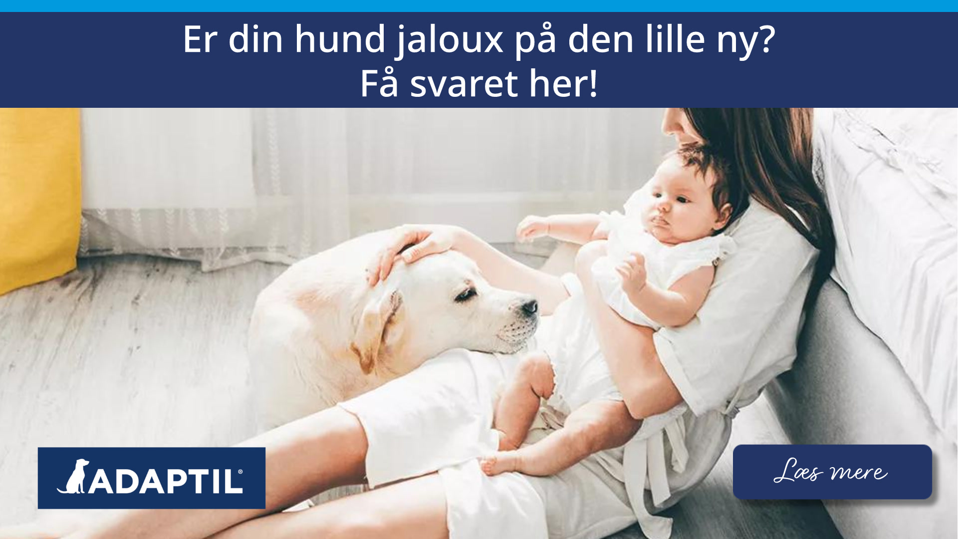 Er dun hund jaloux på din baby? Få svaret her!