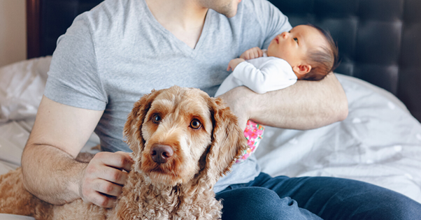 dog with baby on the lap of the father