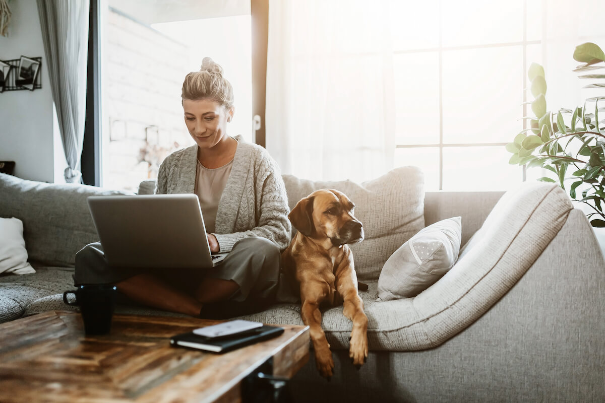 dog on sofa with owner working on laptop