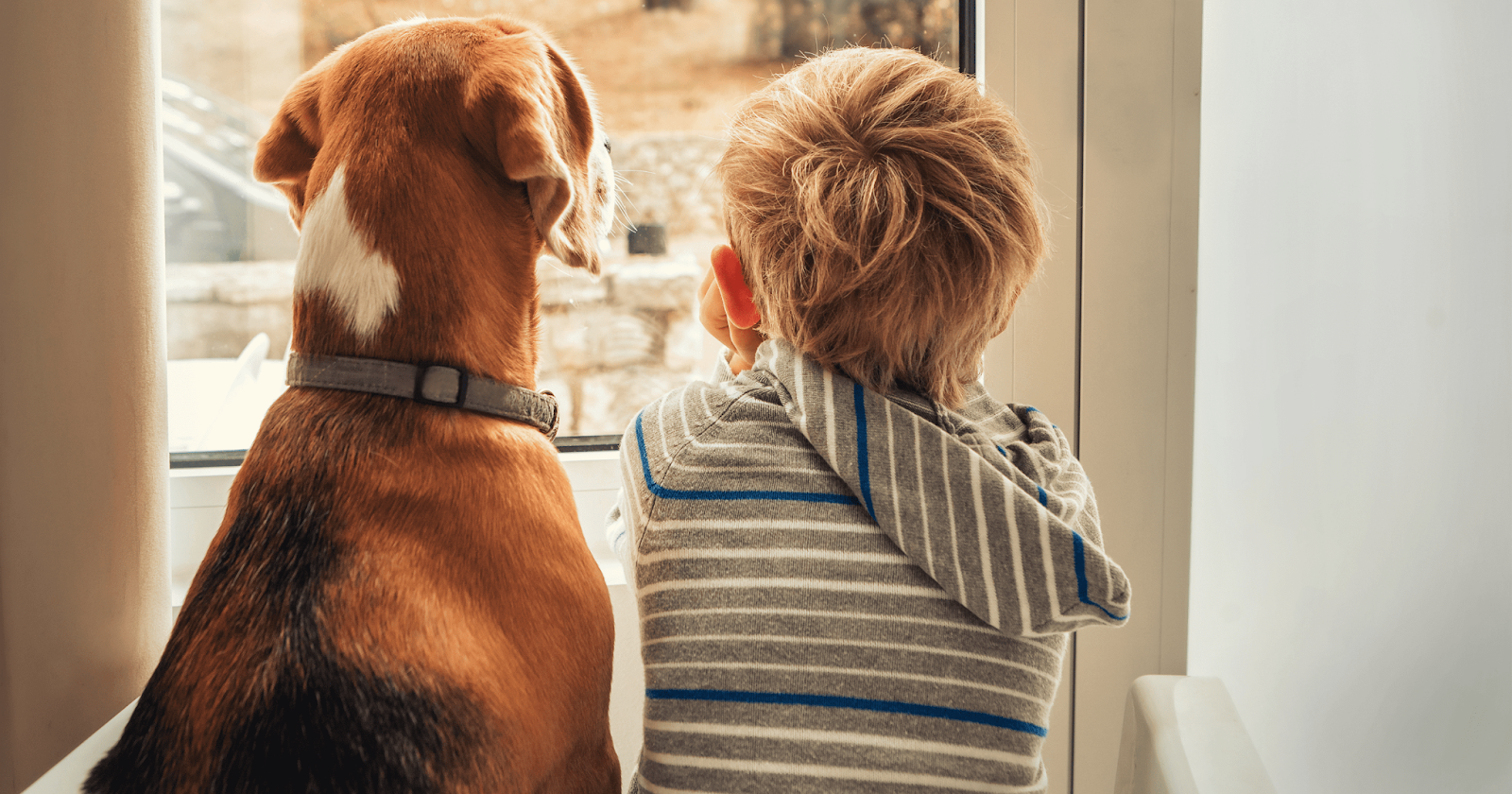 young boy and dog looking out of window