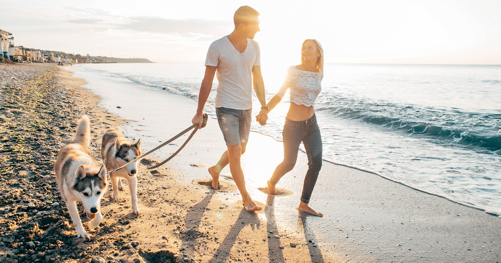 couple walking on beach with 2 dogs
