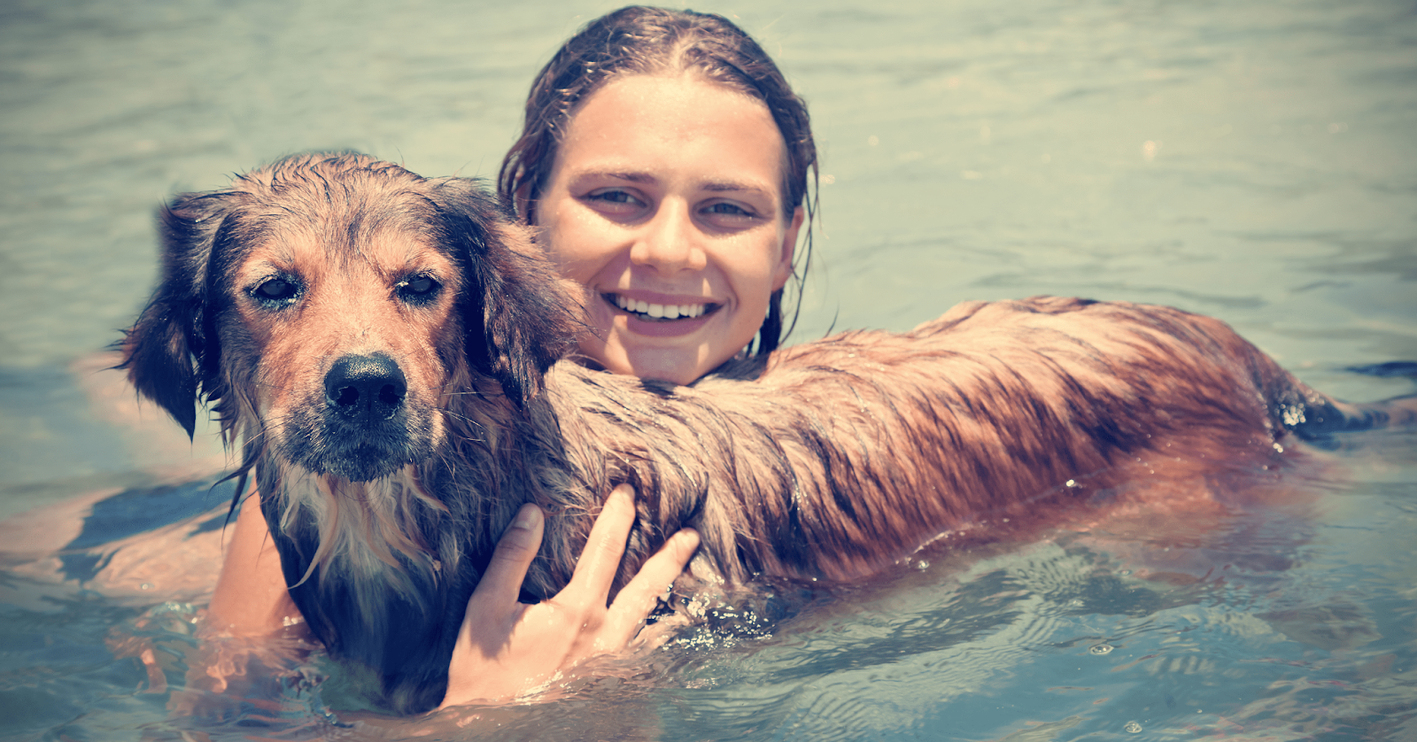 dog in water with girl