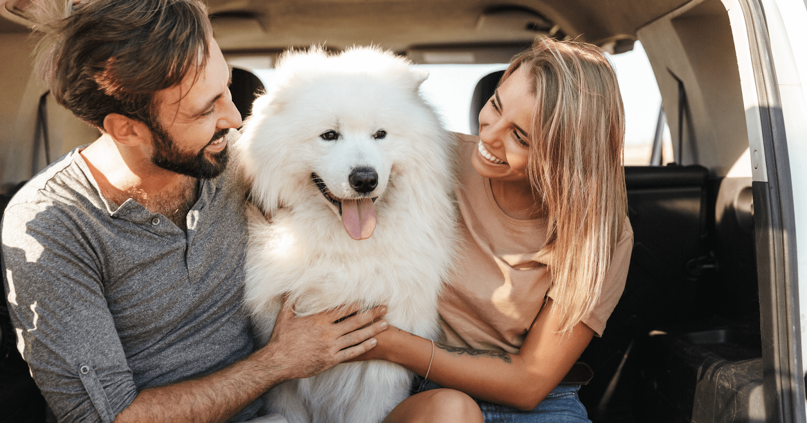 happy dog with couple sat in car