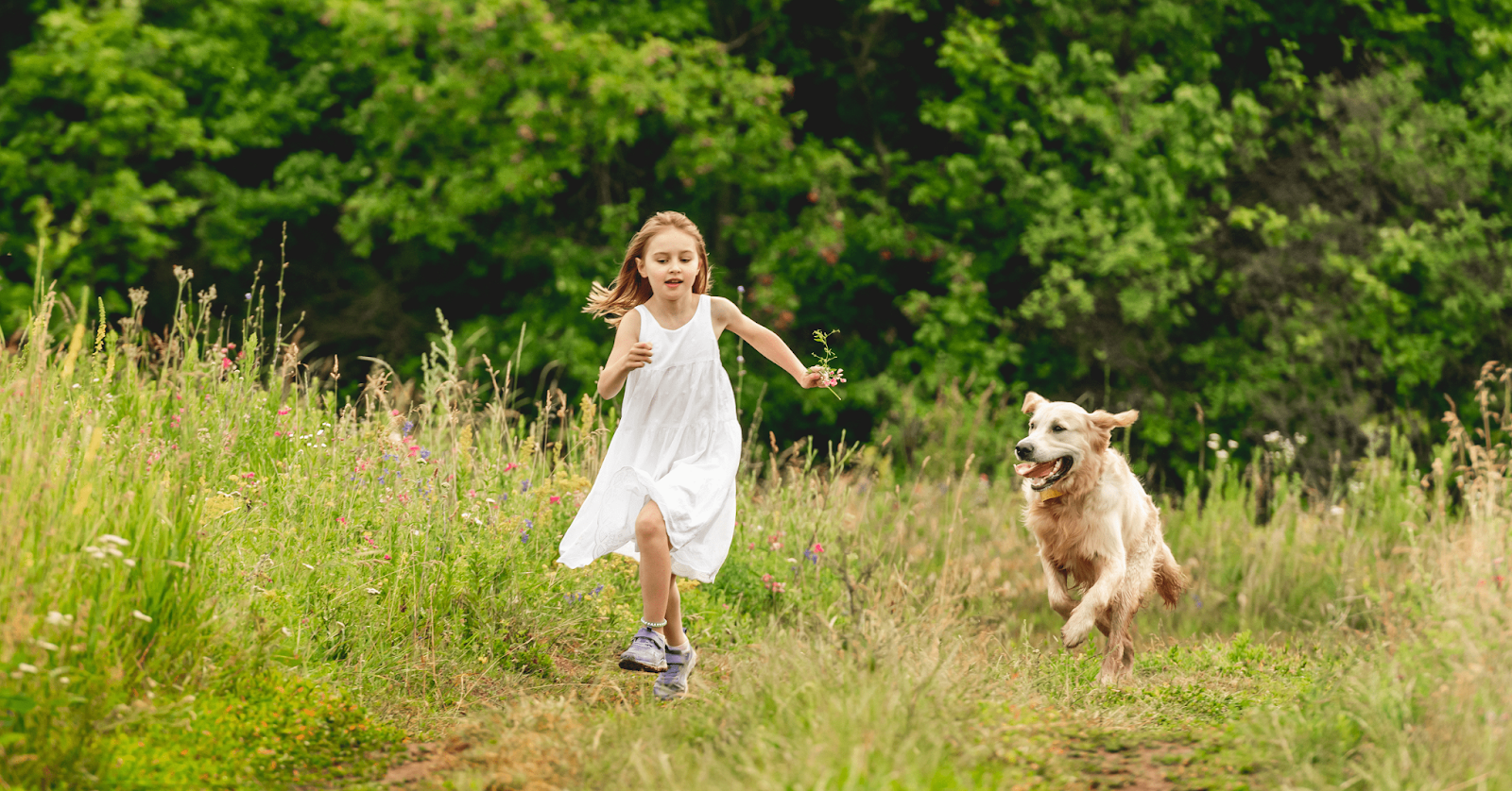dog running in meadow with young girl