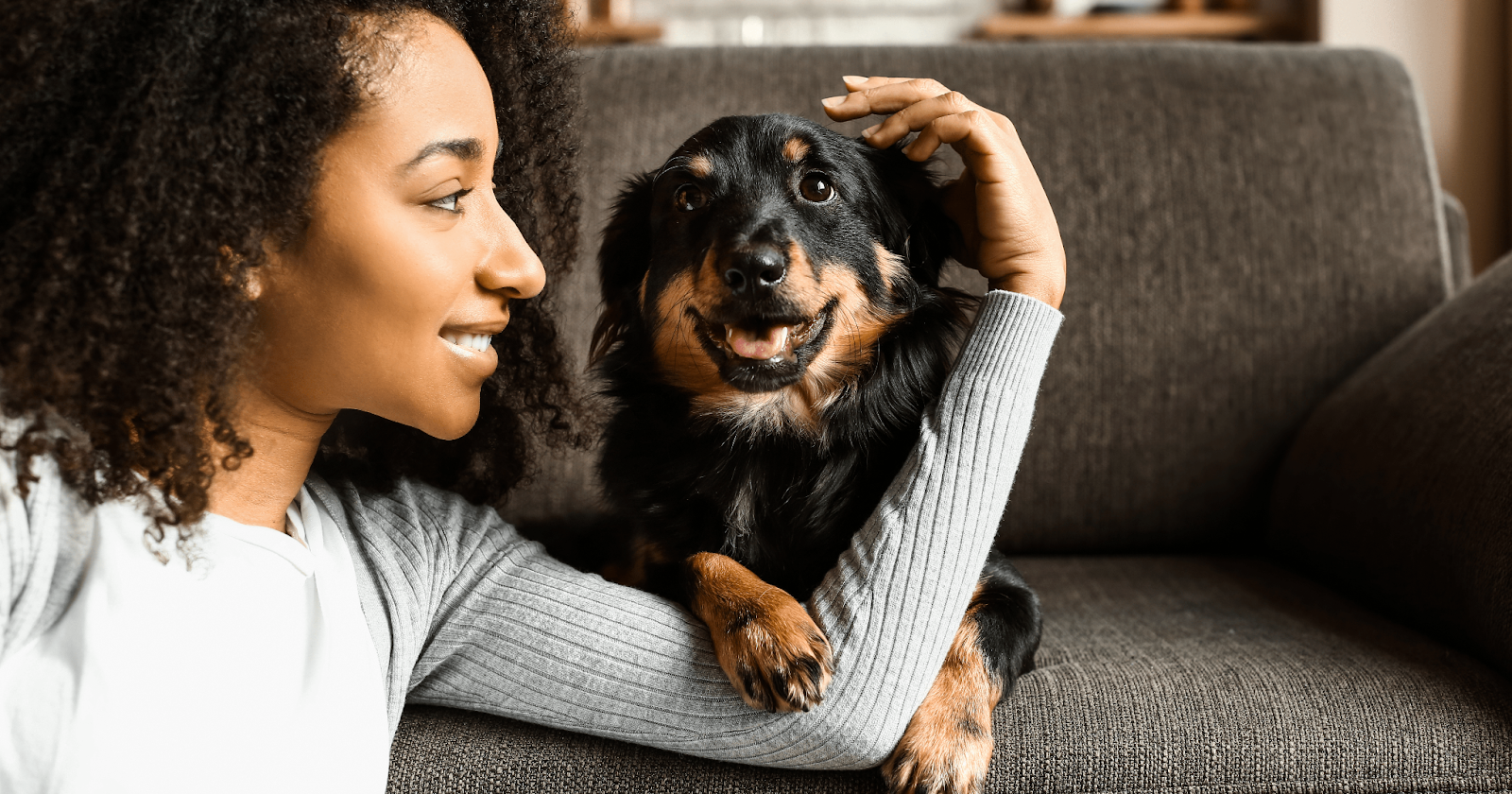 happy dog with owner sat on sofa