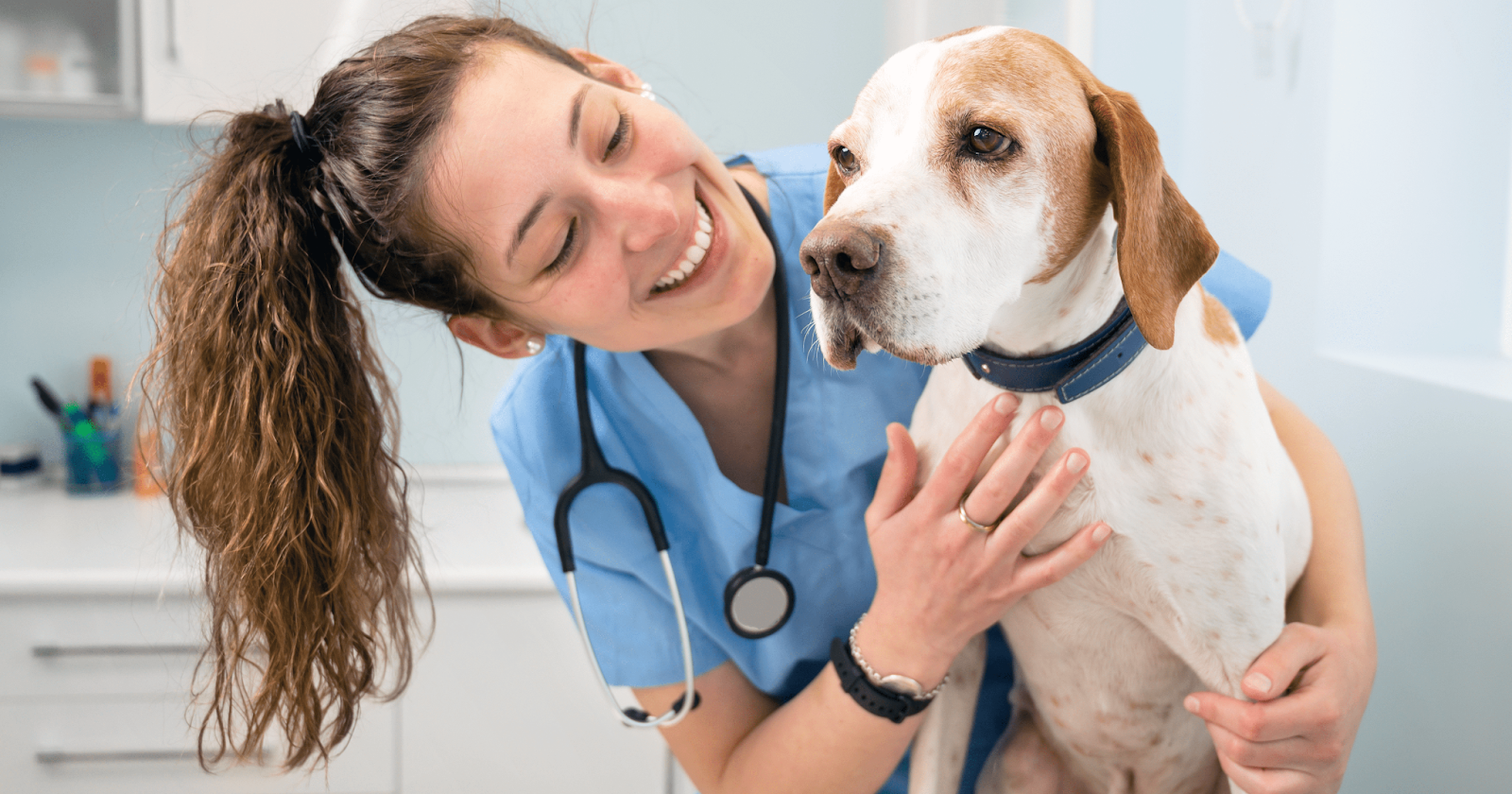 dog with vet in practice