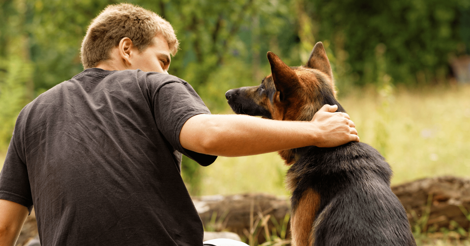 alsatian dog with male owner outside in forest