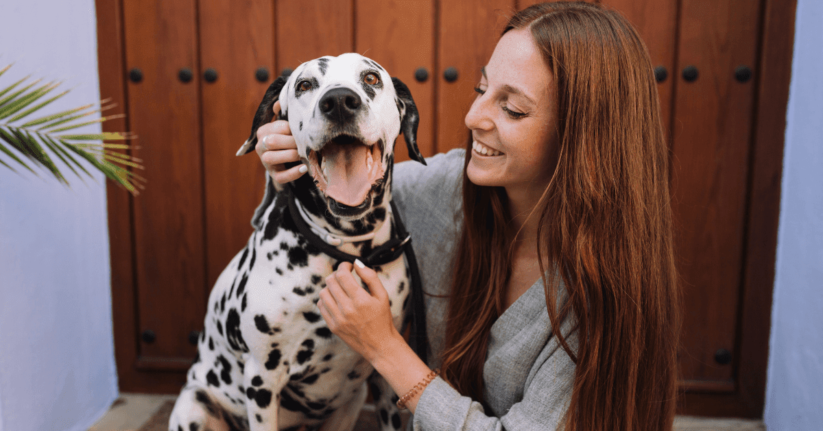 happy dalmation dog with owner