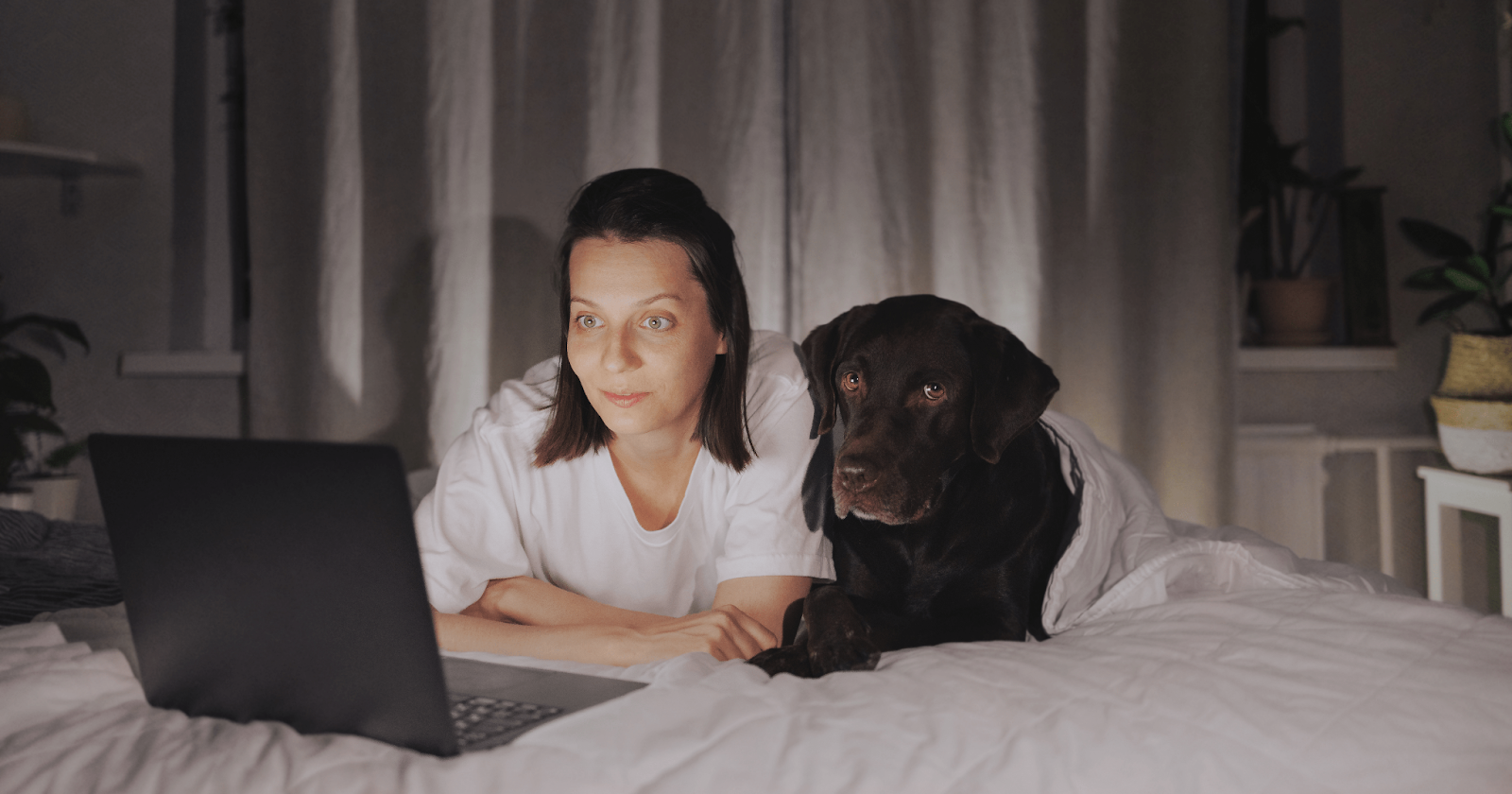 lady watching movie on laptop with chocolate lab