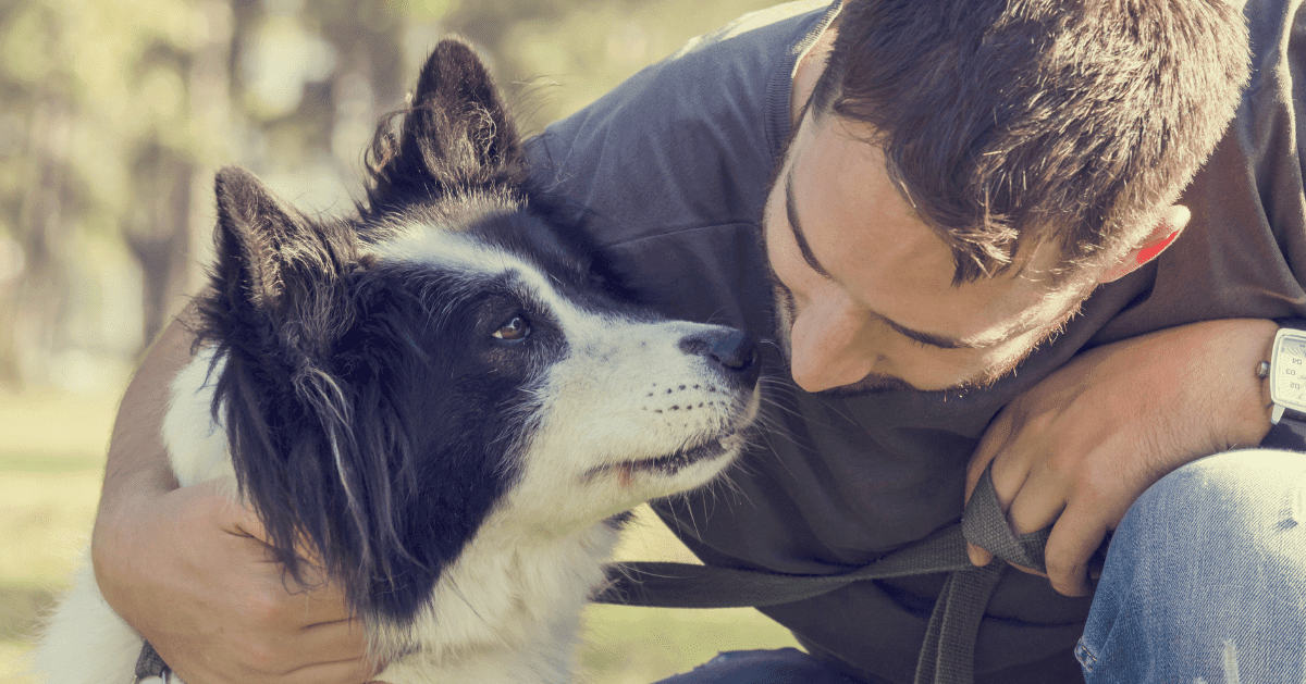 dog giving owner dog kiss