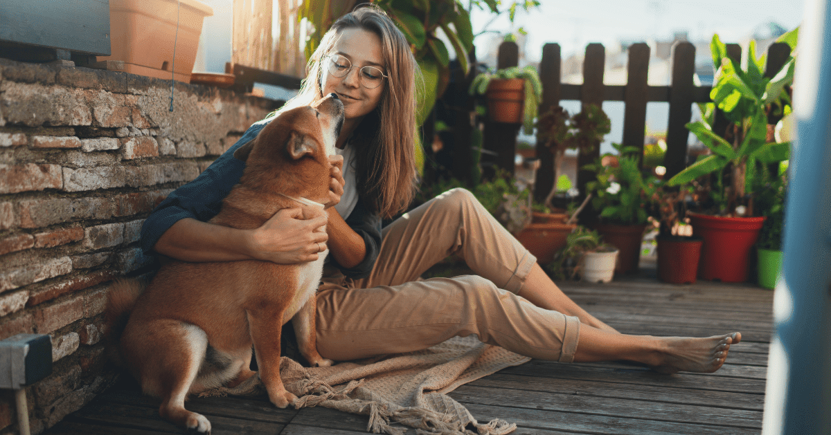 dog with owner on porch outside