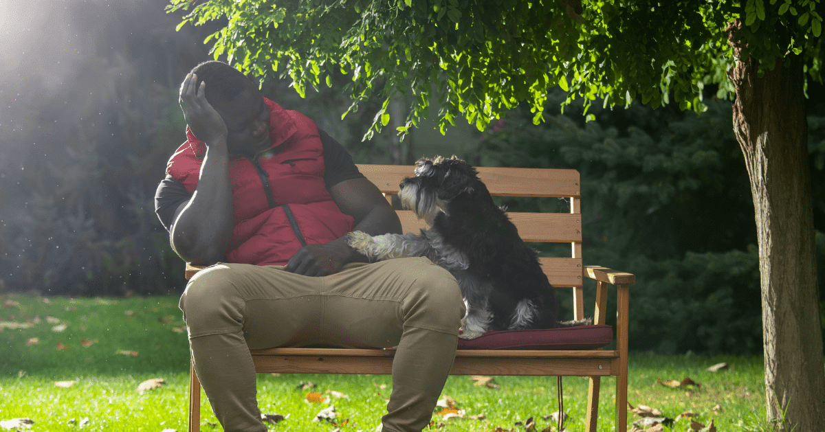 dog sitting with owner on bench