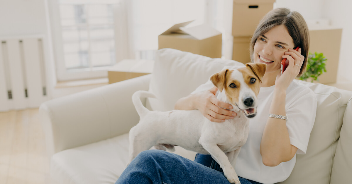 dog with owner on sofa with moving box