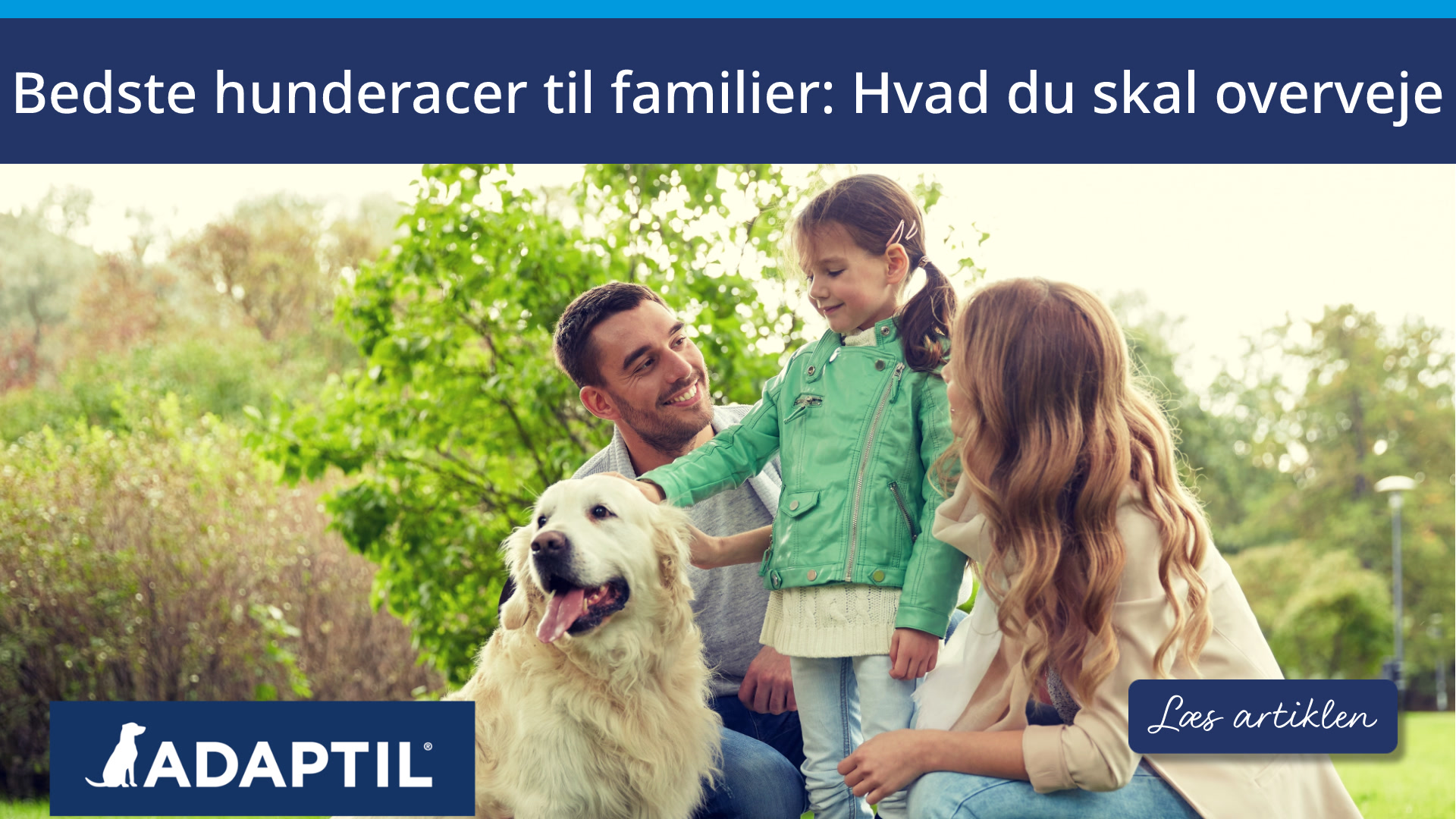 Bedste hunderacer til familier: Hvad du skal overveje