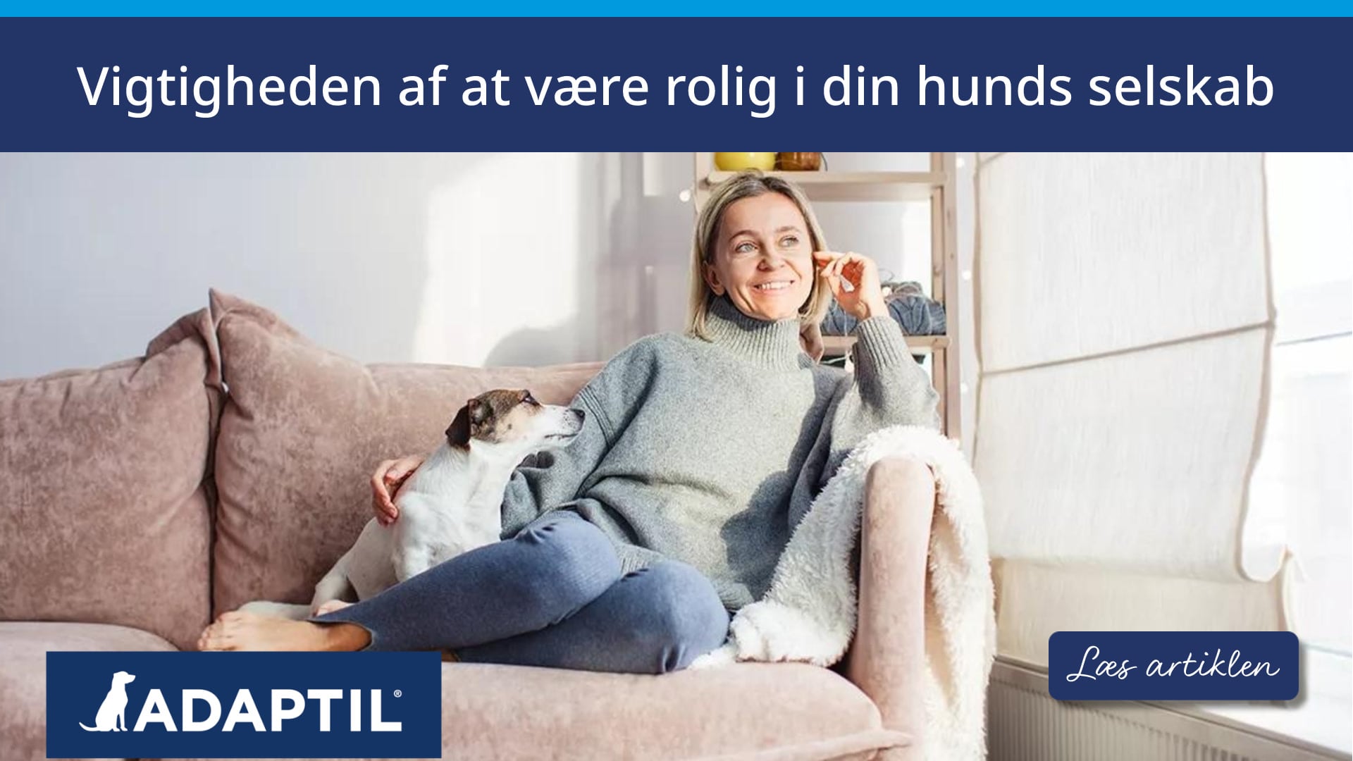 Rolig ejer der sidder med hund i sofa