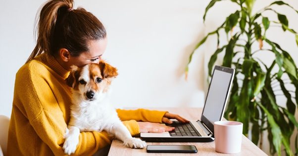 cachorro no escritório