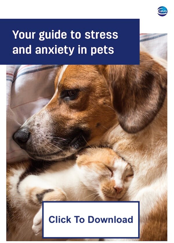 pet-anxiety-book